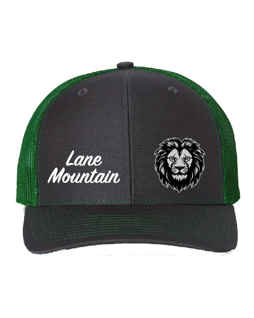 Lions Baseball Snapback Hat