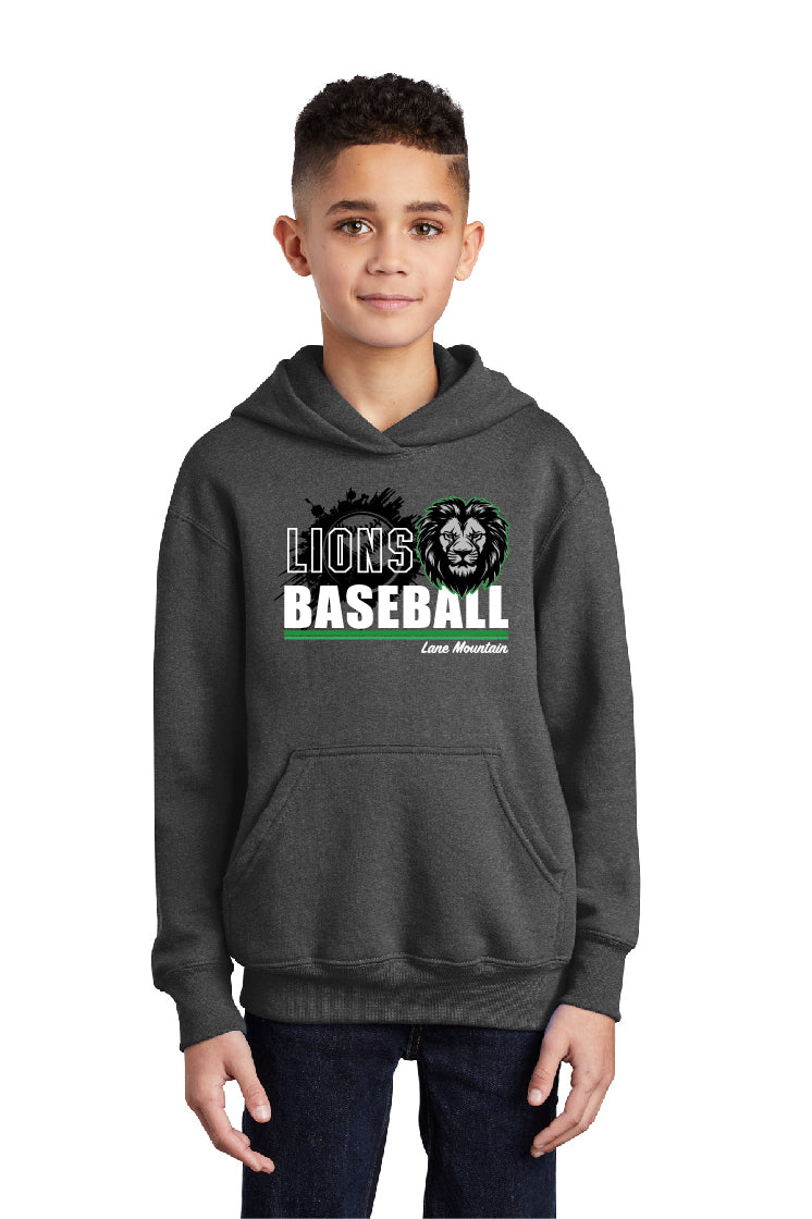Lions Baseball Youth Hoodie