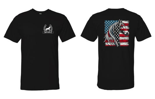 North Ferry 4H Americana Youth or Adult T-shirt