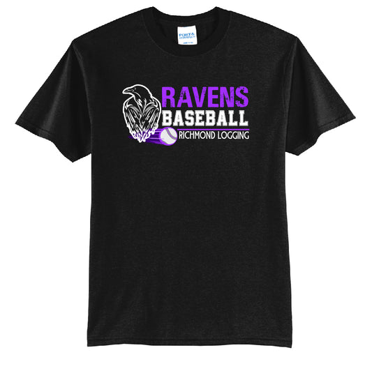 Ravens Baseball Stripe Youth or Adult T-Shirt