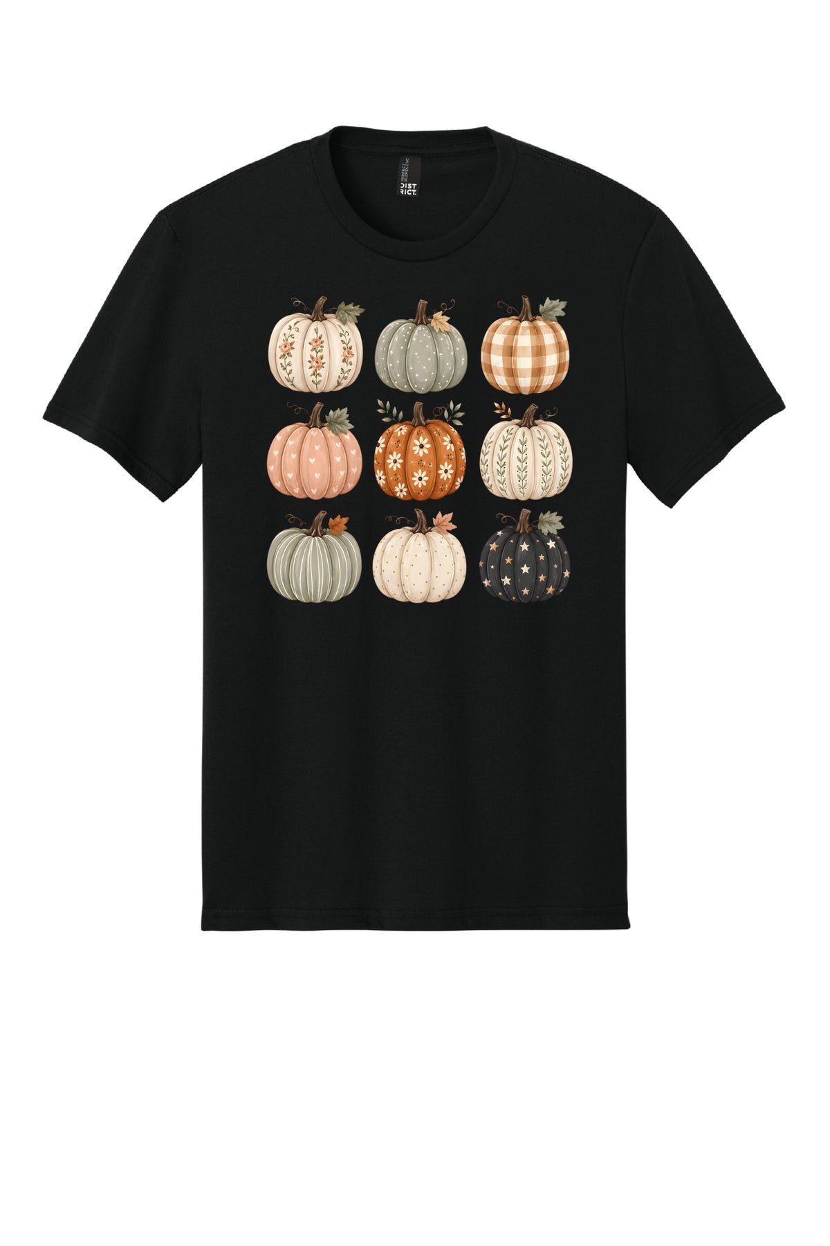 Whimsy Pumpkin T-Shirt